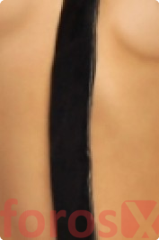 escort-24874