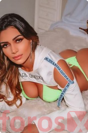 escort-webmaster